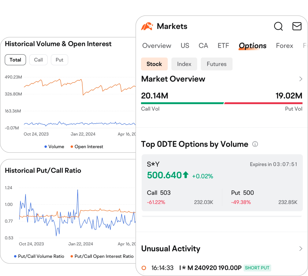 Stay Informed with Market Overview