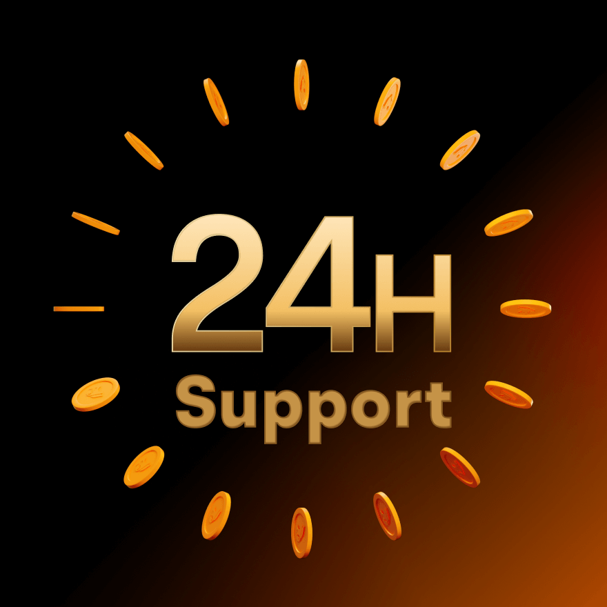 24-hour professional customer support