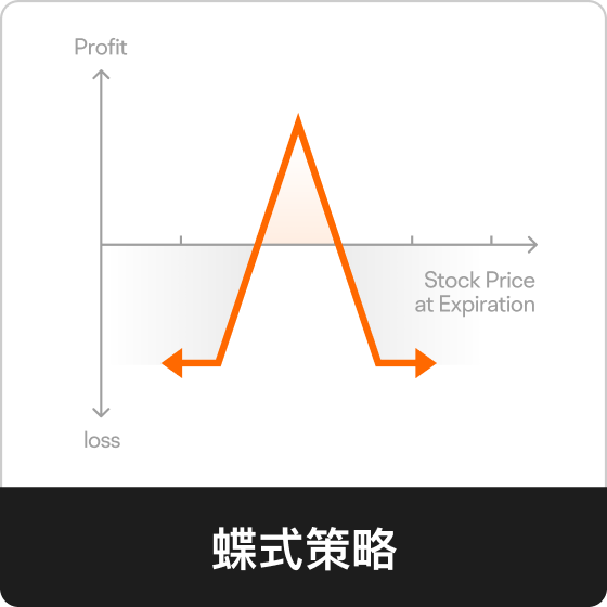 蝶式策略