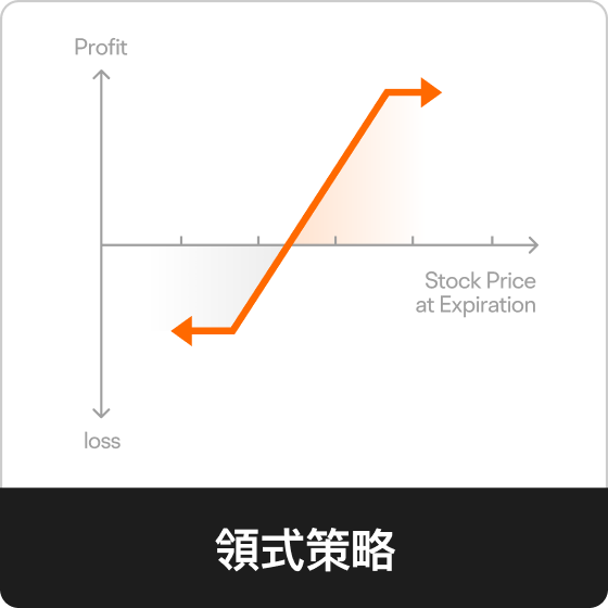 領式策略