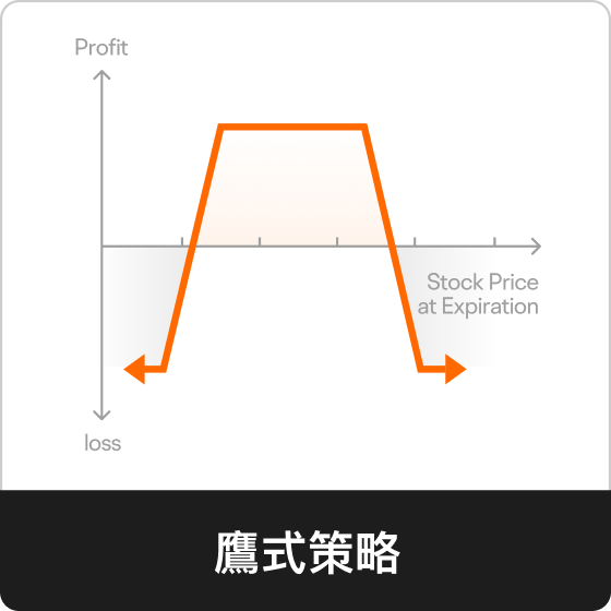 鷹式策略