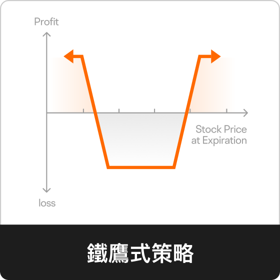 鐵鷹式策略