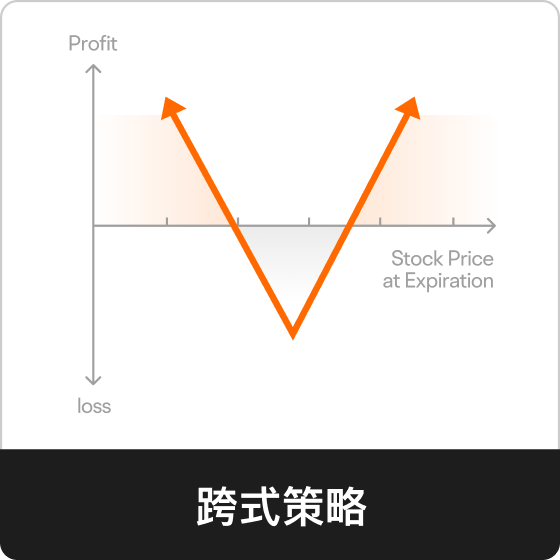 跨式策略