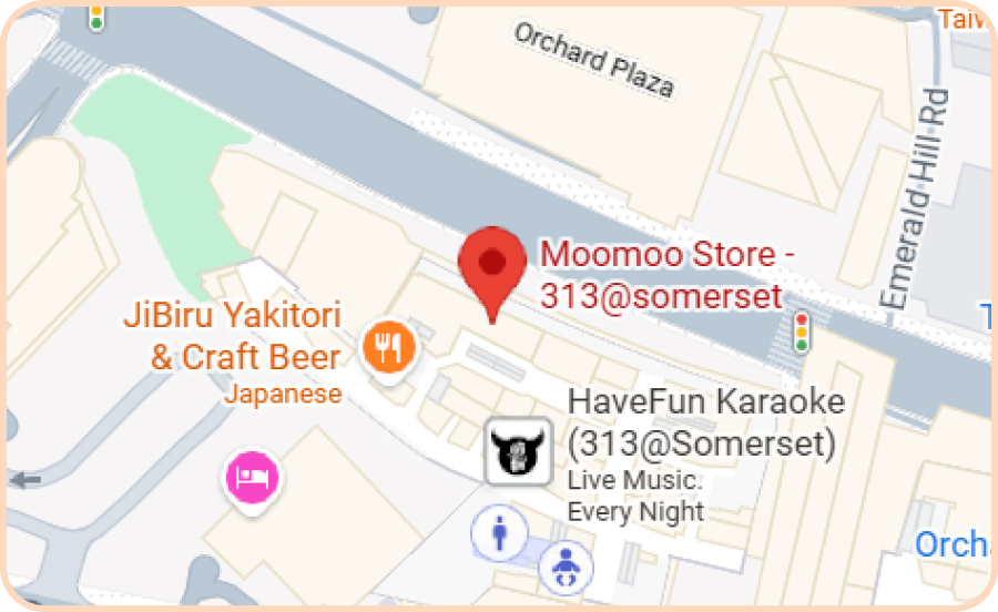 Moomoo Store - 313@somerset