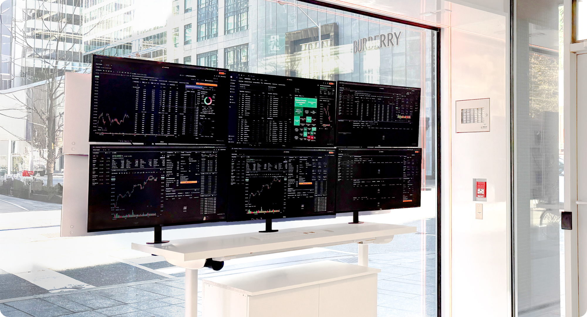 Moomoo Store Photo 3